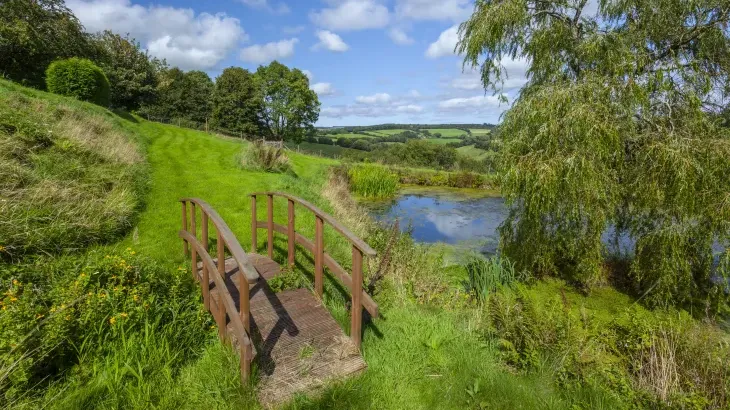 Stockham Farm - Photo 17
