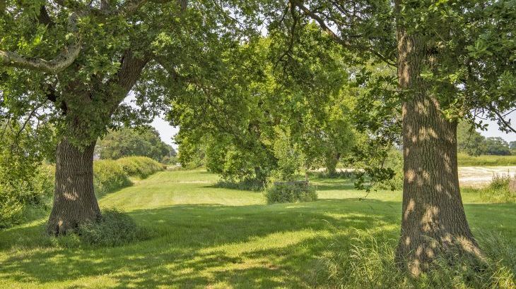 Buttercups & Hayloft Sleeps & Dines 16 with Pool, Sports Court & Play Area - Photo 37