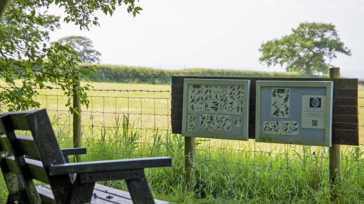 Buttercups & Hayloft Sleeps & Dines 16 with Pool, Sports Court & Play Area - Photo 36