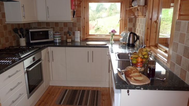 Cefn-nant Lodge - Photo 8