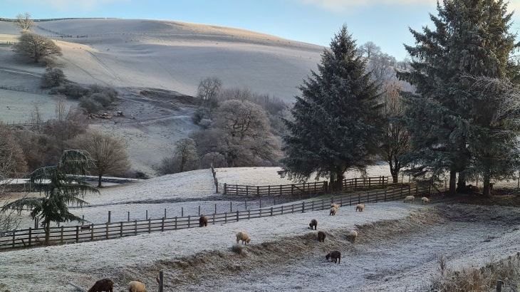 Cefn-nant Lodge - Photo 18