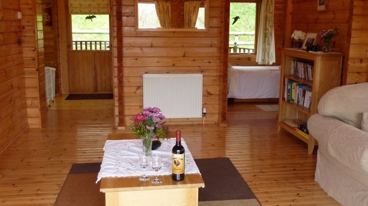 Cefn-nant Lodge - Photo 21
