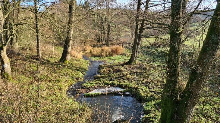 Cefn-nant Lodge - Photo 23