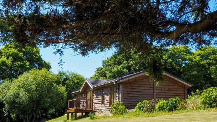 Owl Lodge - Main Photo