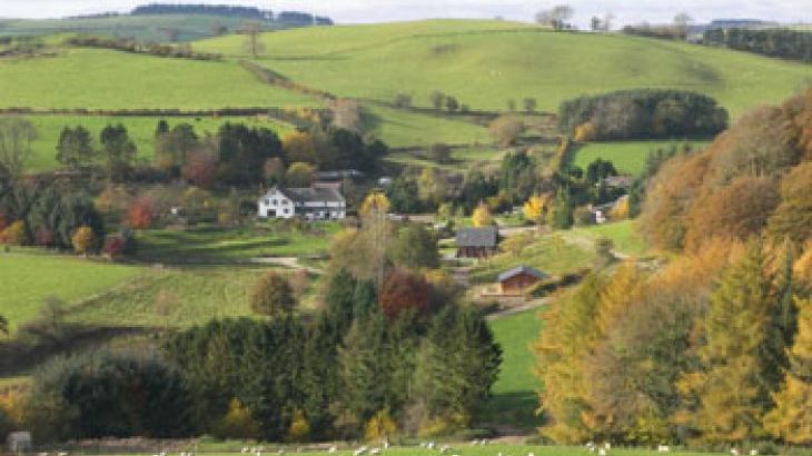 Cefn-nant Lodge - Photo 11
