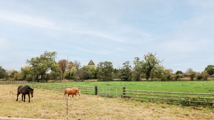 Castle View Lodge - Photo 18