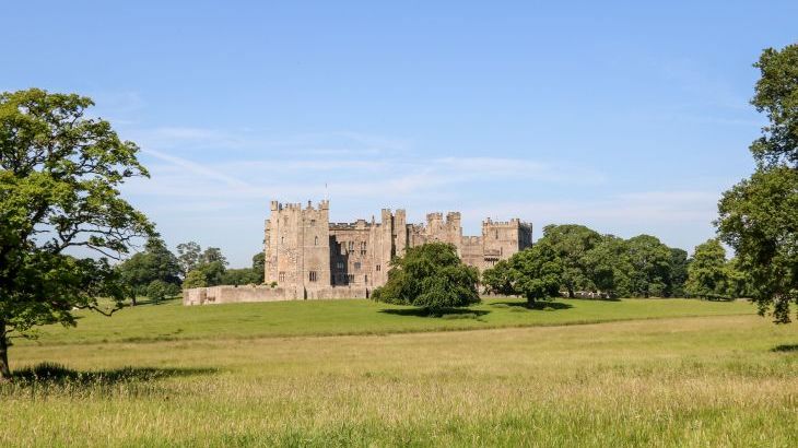 Badgers Sett - Photo 27