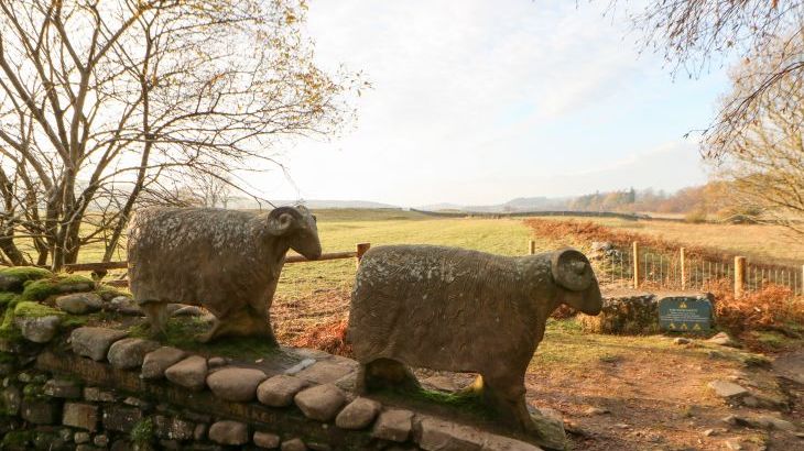 Badgers Sett - Photo 36