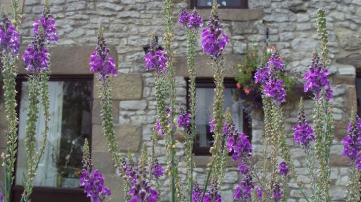 Old Coach House - Photo 21 Old Coach House - Photo 21