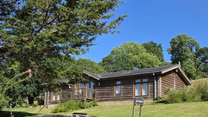 Owl Lodge - Photo 11