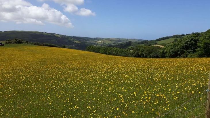 Cider House at Nutcombe Cottages - Photo 25 Cider House at Nutcombe Cottages - Photo 25