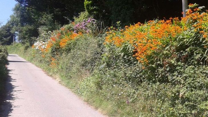 Cider House at Nutcombe Cottages - Photo 27 Cider House at Nutcombe Cottages - Photo 27