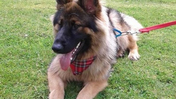 Cider House at Nutcombe Cottages - Photo 30 Cider House at Nutcombe Cottages - Photo 30