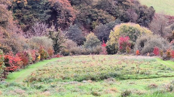 Cider House at Nutcombe Cottages - Photo 31 Cider House at Nutcombe Cottages - Photo 31