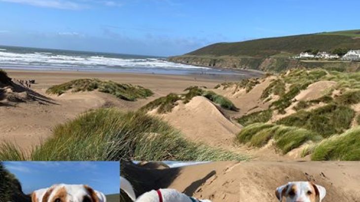 Cider House at Nutcombe Cottages - Photo 37 Cider House at Nutcombe Cottages - Photo 37