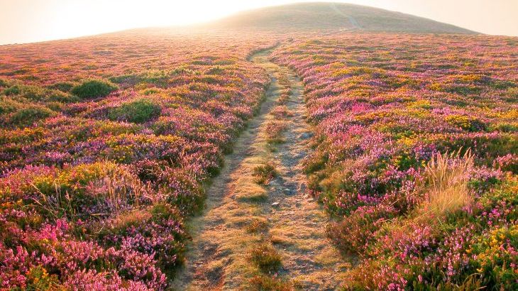 Cider House at Nutcombe Cottages - Photo 38 Cider House at Nutcombe Cottages - Photo 38