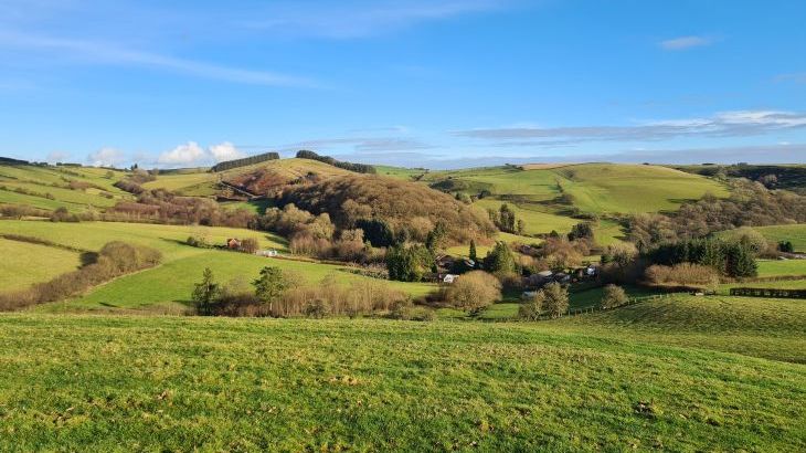Cefn-nant Lodge - Photo 24