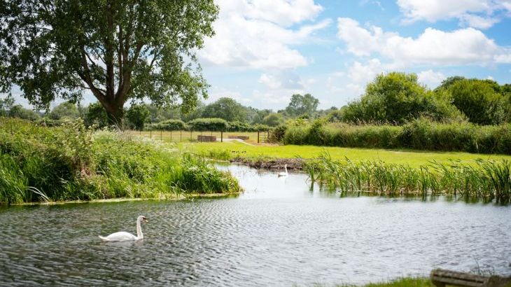 Tincleton Lodge - sleeps 10 - Photo 48