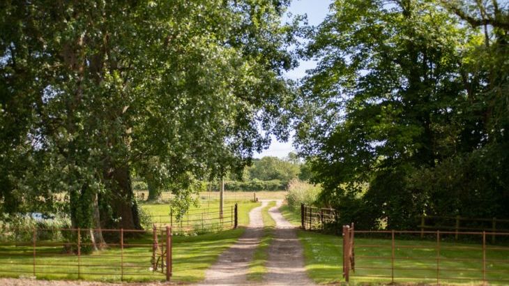 Rose Cottage - Photo 33
