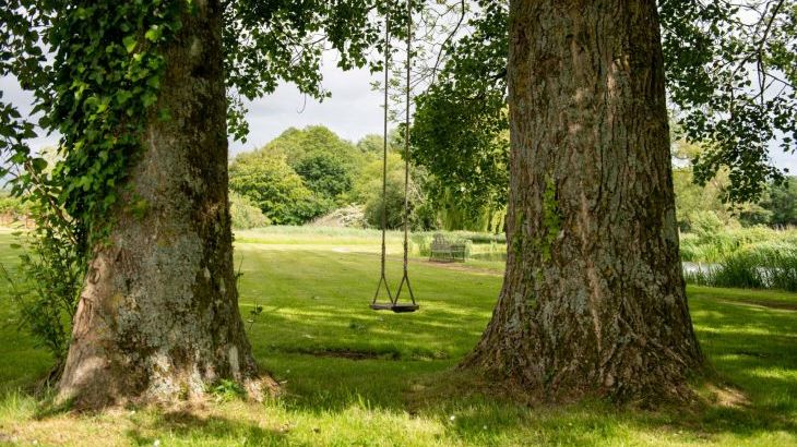 Tincleton Lodge - sleeps 10 - Photo 59