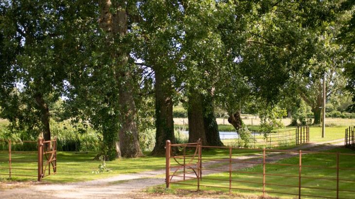 Tincleton Lodge - sleeps 10 - Photo 61