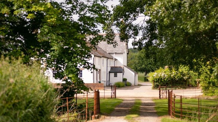 Rose Cottage - Photo 60