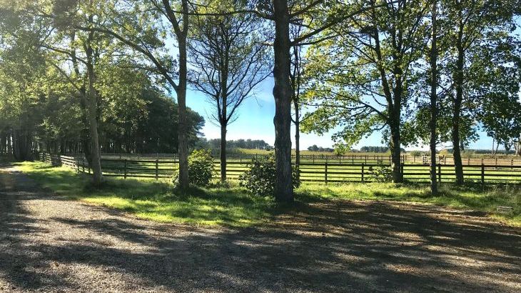 Eskmeals House, Self Catering, Ravenglass, Lake District, Cumbria, England - Photo 12