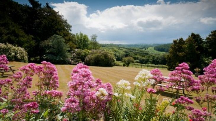 Beaford Country House - Photo 19