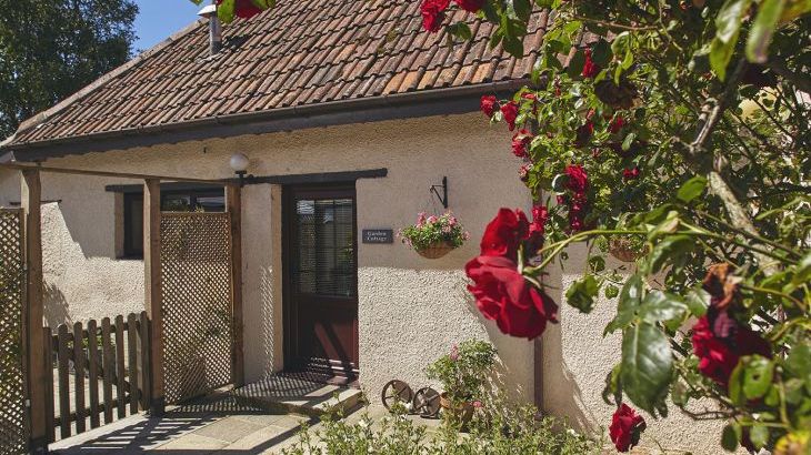 Garden Cottage at Twistgates Farm Cottages - Photo 9