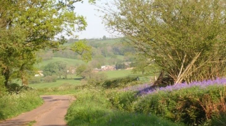 Meadow Cottage at Twistgates Farm Cottages - Photo 13