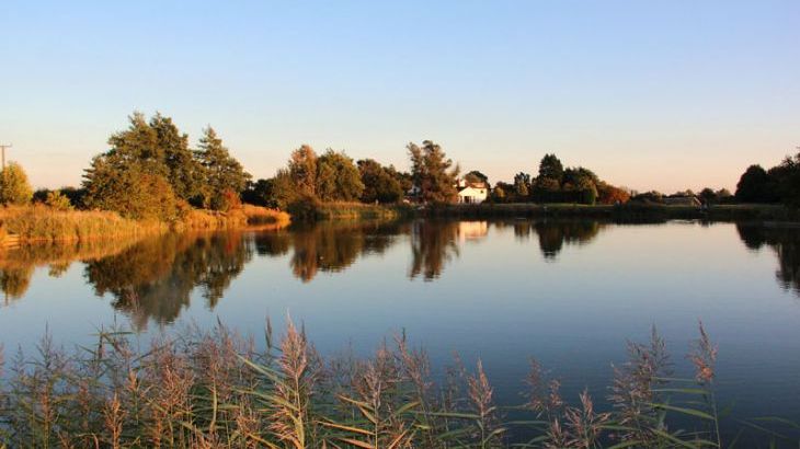 Beaver Den Lodge - Fields End Water - Photo 9