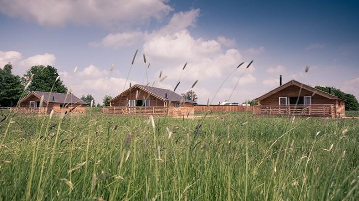 Beaver Den Lodge - Fields End Water - Photo 10