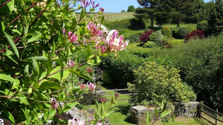 Honeysuckle, dog friendly couples' cottage in South Devon - Photo 2