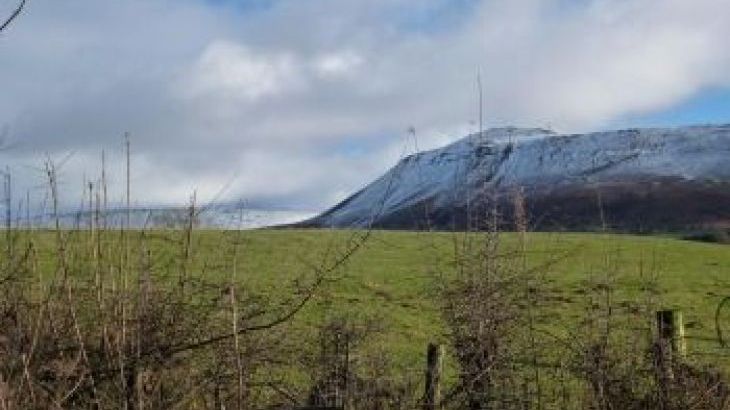 Cefn Y Waun - Cottage in the Woods - Photo 12