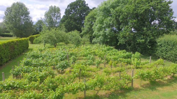 The Cotswold Manor Vineyard, Exclusive Hot-Tub, Games/Event Barns, 70 acres of Parkland - Photo 13
