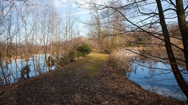 Blackdown Cottage - Photo 22