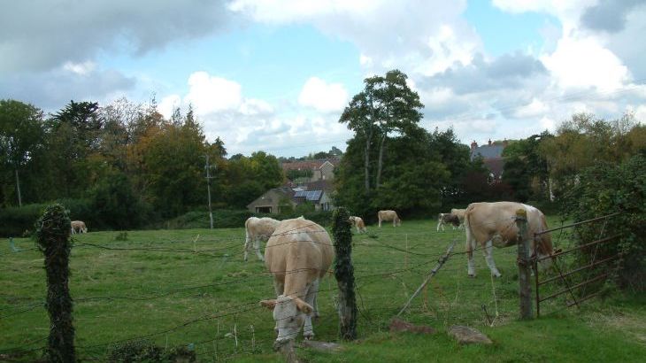 Myrtle House Old Farmhouse and Annexe - Photo 21