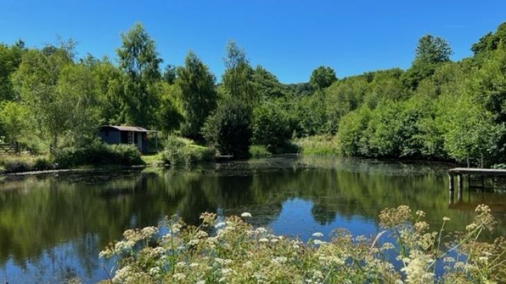 Big holiday cottages with a pool   in Mid Wales