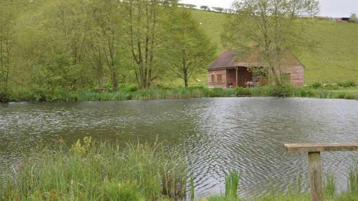 The Fishing Lodge - Photo 15