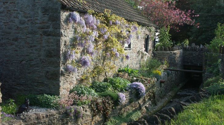 Cider Barrel Cottage - Photo 11