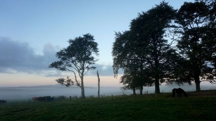 Lammerlaw Self Catering - Photo 13