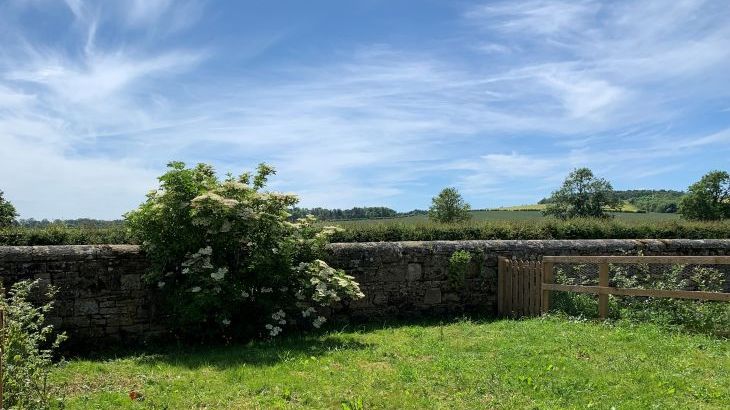 Gardeners Cottage - Photo 2