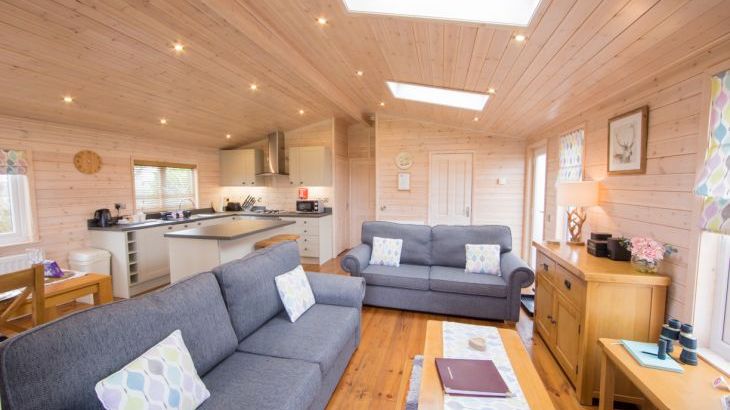 Fern Lodge - Photo 10