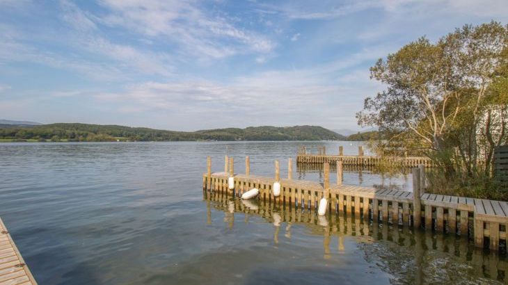 Boathouse on the Lake - Photo 23