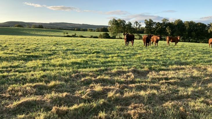 Westertonhill Holiday Lodge 5 - Photo 21