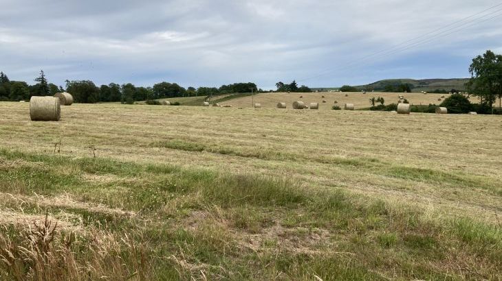 Westertonhill Holiday Lodge 5 - Photo 22