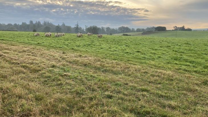 Westertonhill Holiday Lodge 5 - Photo 23