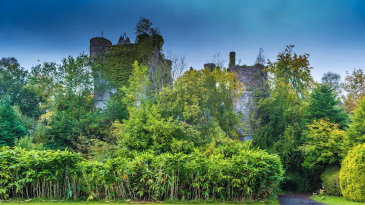 Westertonhill Holiday Lodge 5 - Photo 30