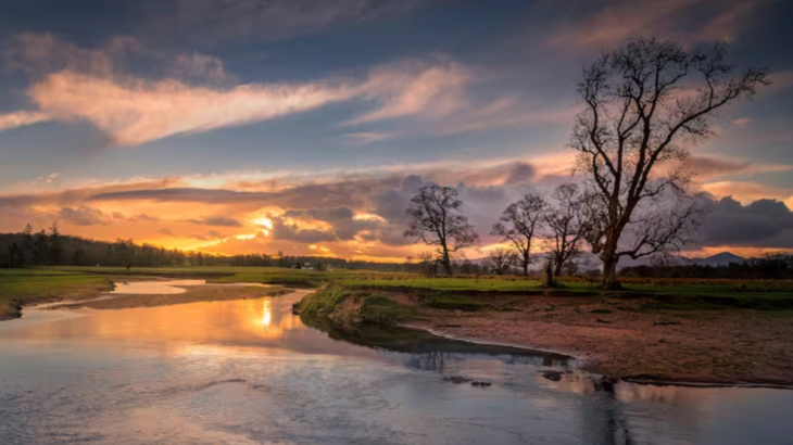 Westertonhill Holiday Lodge 5 - Photo 31