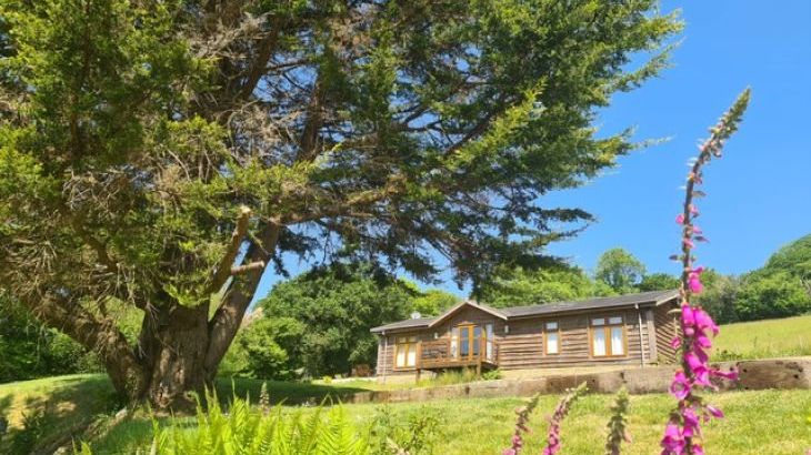 Owl Lodge - Main Photo